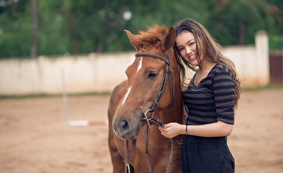 Equine Therapy